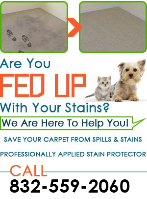 Carpet Cleaning Services